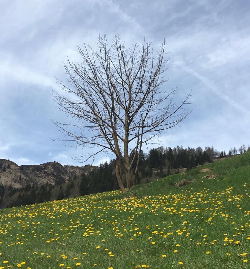 B&B Gottardo Airolo Ngoại thất bức ảnh