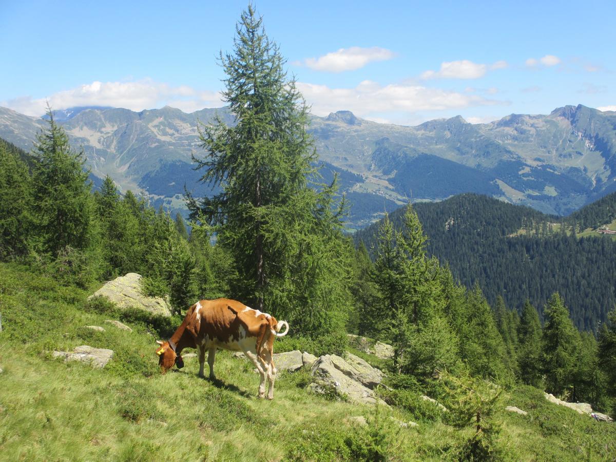B&B Gottardo Airolo Ngoại thất bức ảnh